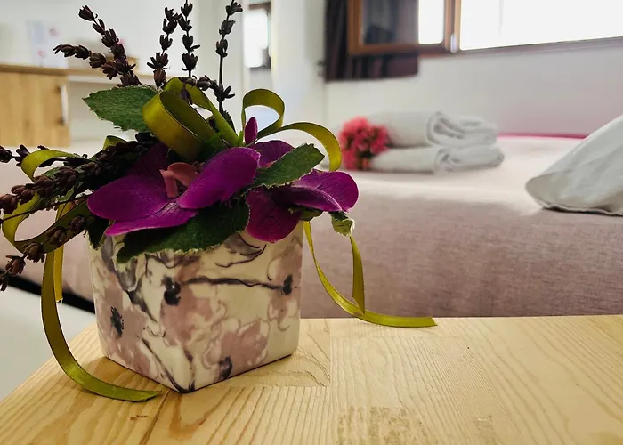 فندق مبيت وإفطار La Meridiana - Centro Storico Di